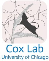 logo label